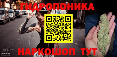 трава Лесосибирск