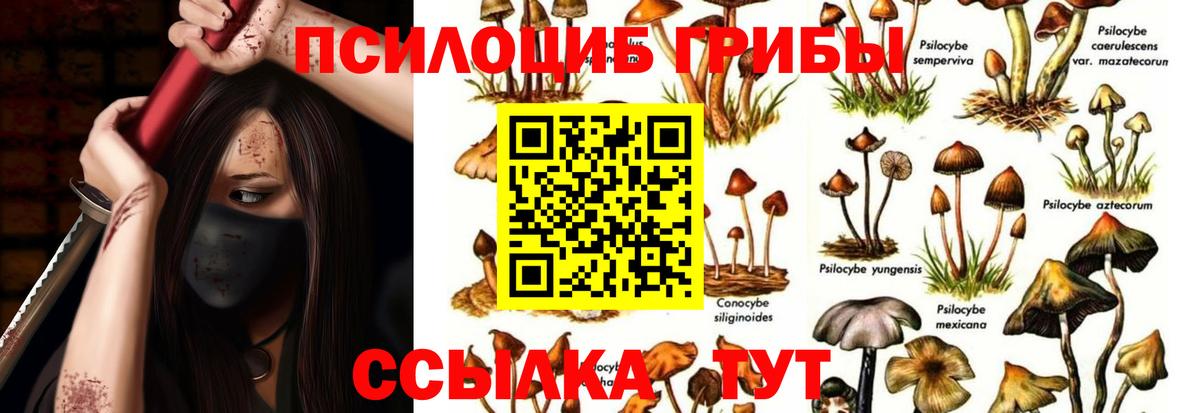 Псилоцибиновые грибы GOLDEN TEACHER Сланцы