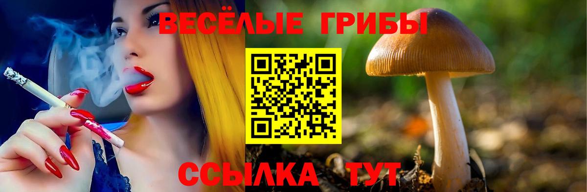 Псилоцибиновые грибы ЛСД  Вход с VPN  Сланцы 